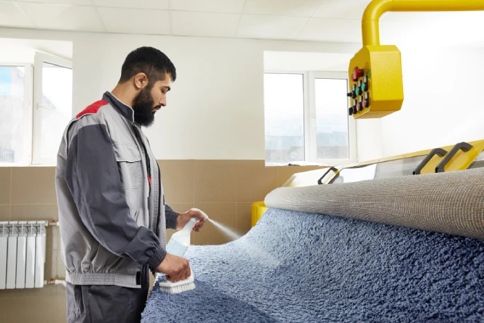 Non toxic green carpet cleaning service